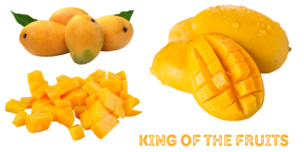 mango is king of the fruits