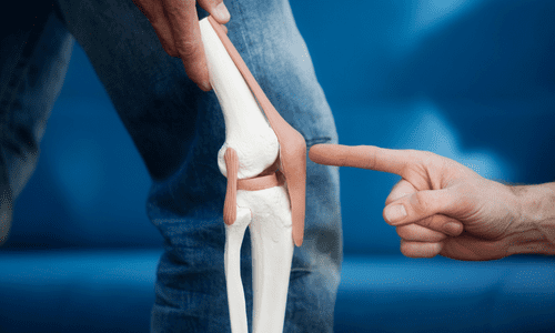 Knee Joint Health For All Ages