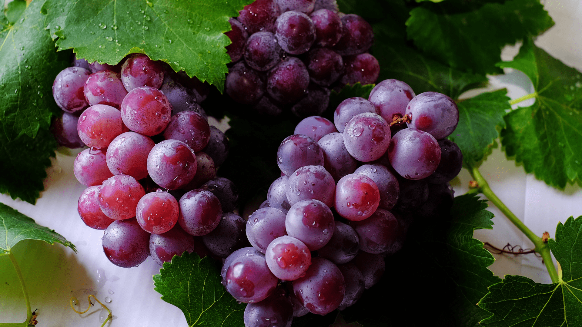 best grapes